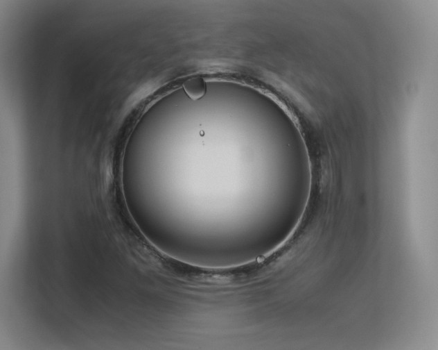 X0000113251261200909101421