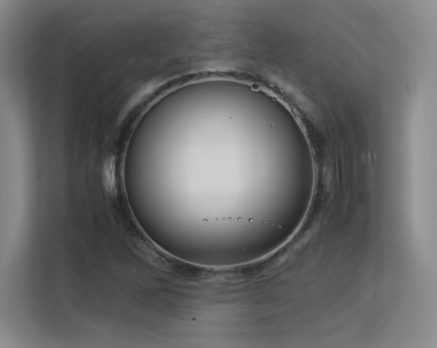 X0000113251262200909101421