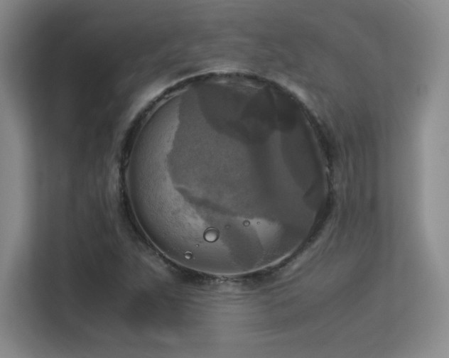 X0000113251263200909101421