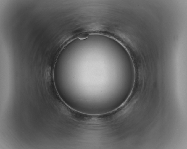X0000113251265200909101421
