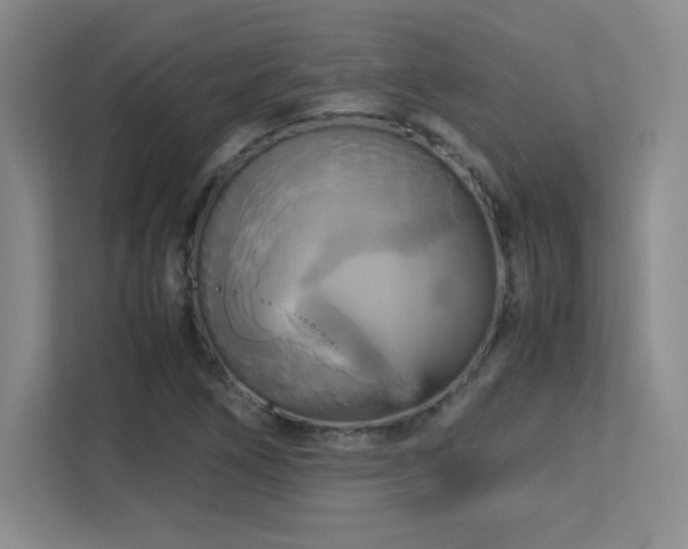 X0000113251266200909101421