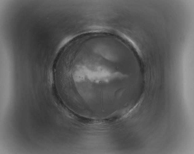 X0000113251267200909101421