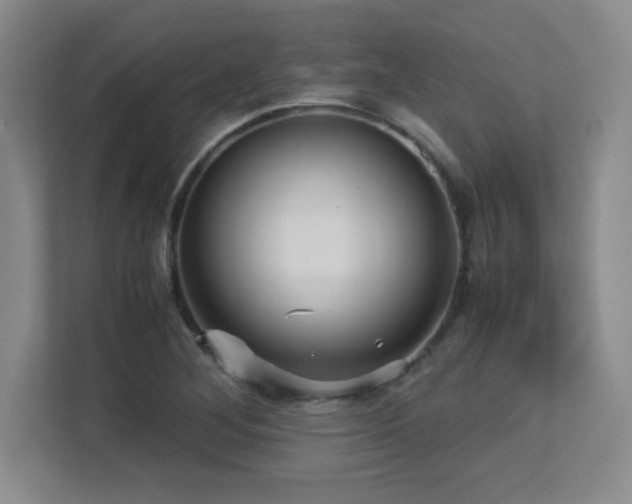 X0000113251268200909101421