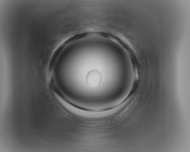 X0000113251269200909101421