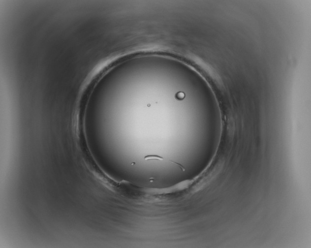 X0000113251270200909101421
