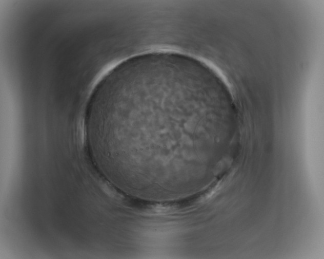 X0000113251271200909101421