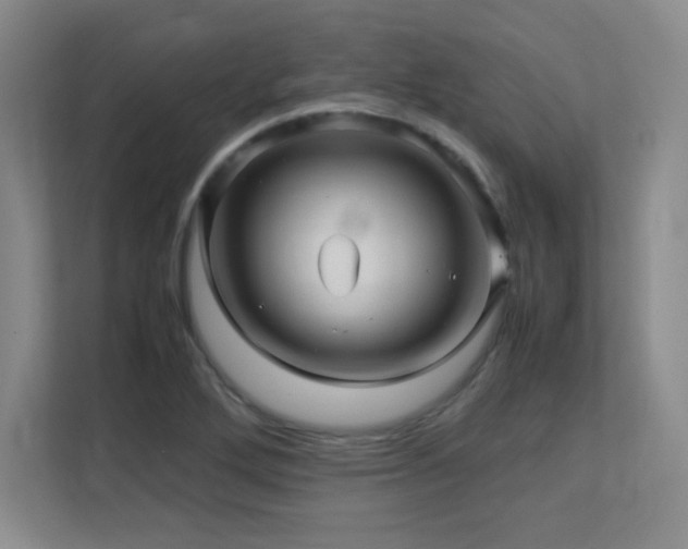 X0000113251272200909101421
