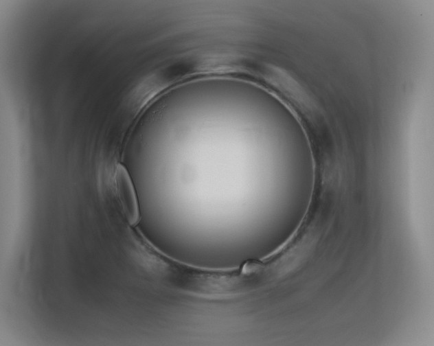 X0000113251273200909101421