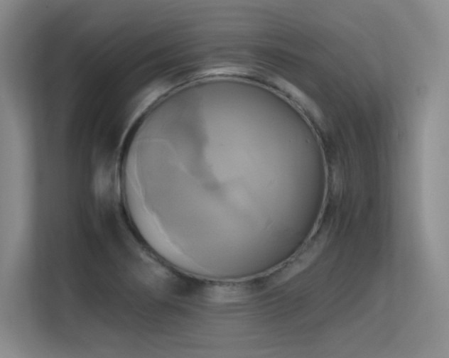 X0000113251274200909101421