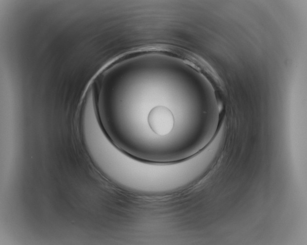 X0000113251276200909101421