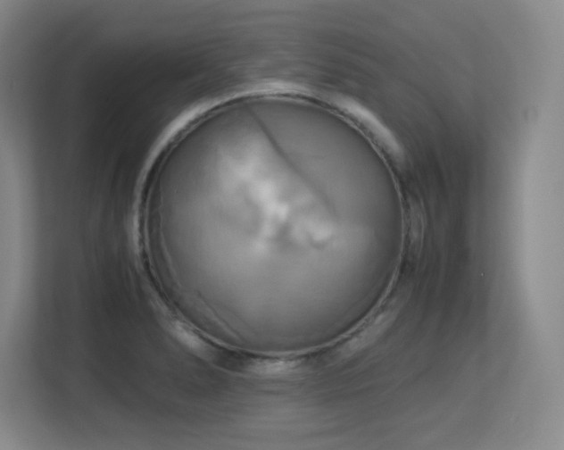X0000113251278200909101421