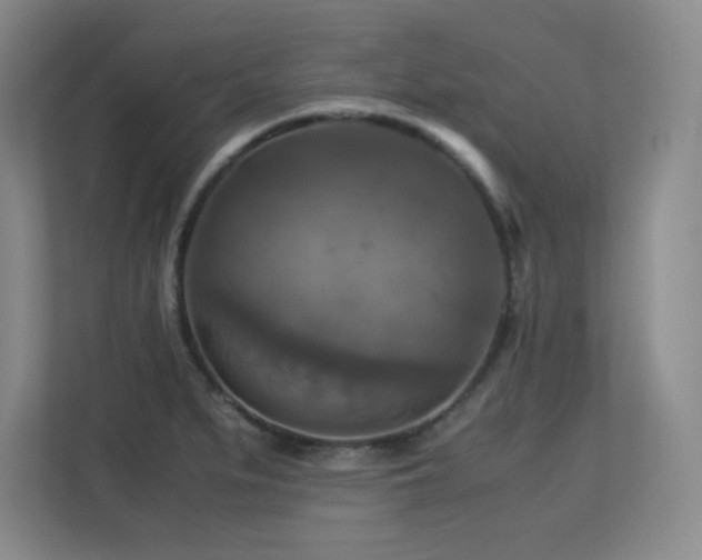 X0000113251279200909101421