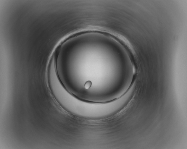 X0000113251280200909101421