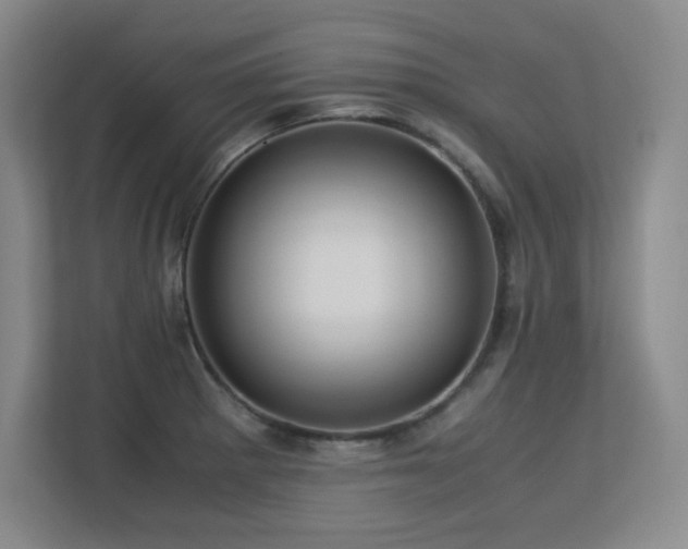 X0000113251281200909101421