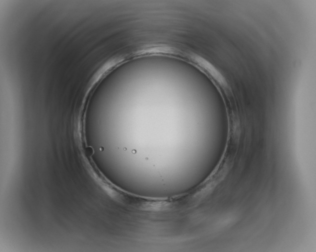 X0000113251282200909101421
