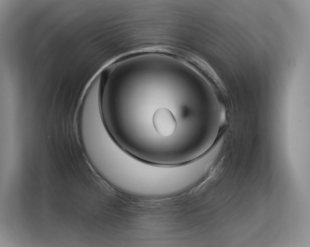 X0000113251284200909101421