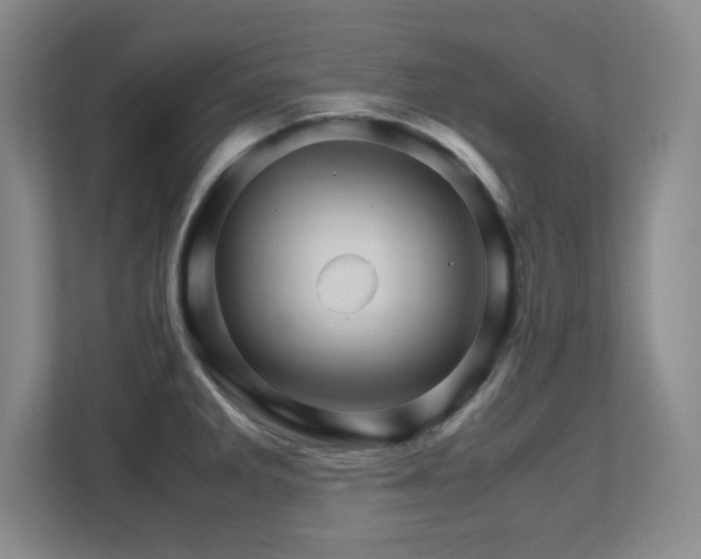X0000113251285200909101421