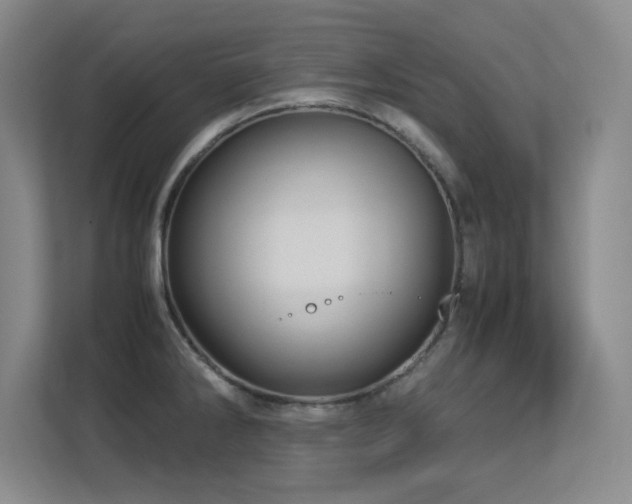 X0000113251286200909101421