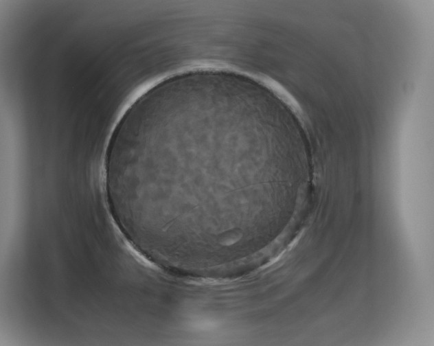 X0000113251287200909101421