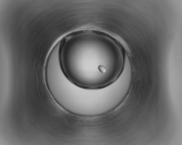 X0000113251288200909101421