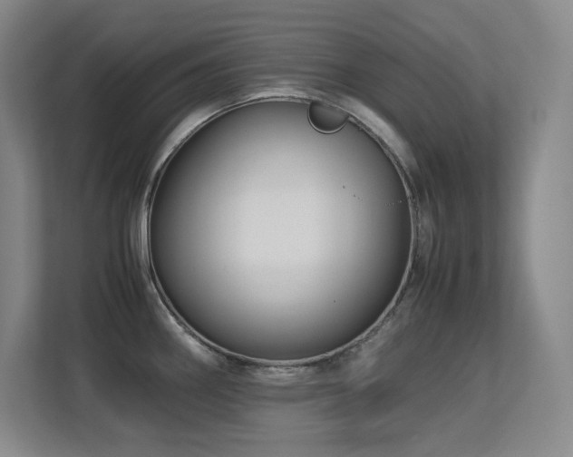 X0000113251290200909101421
