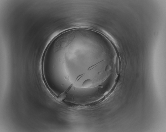 X0000113251291200909101421