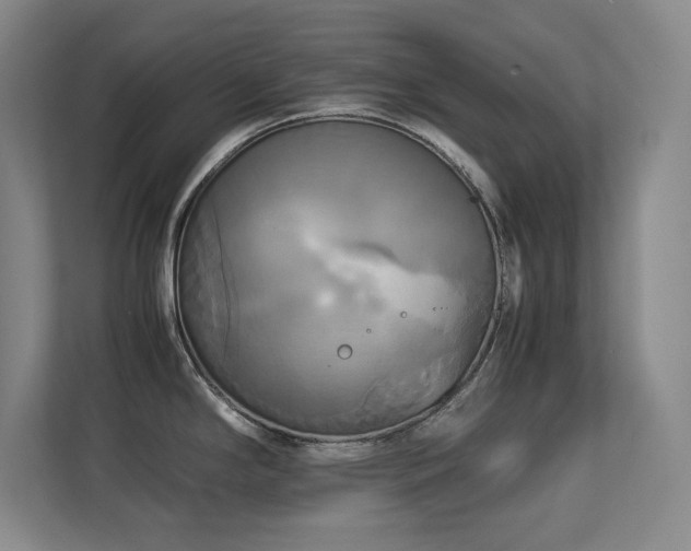 X0000113251294200909101421