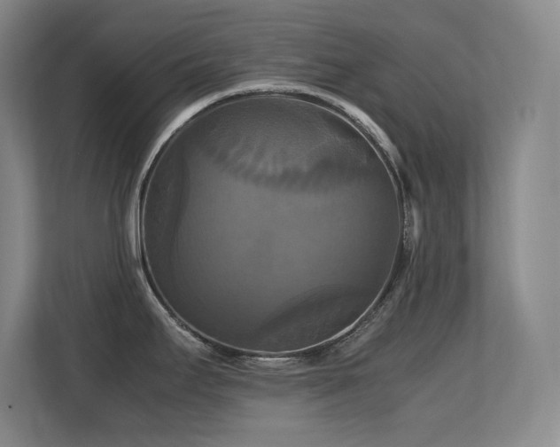 X0000113251295200909101421