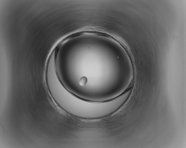 X0000113251296200909101421