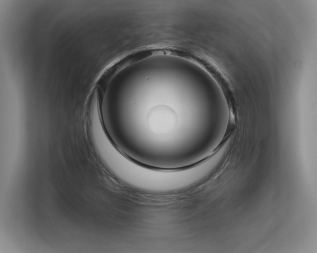 X0000113251308200909101420