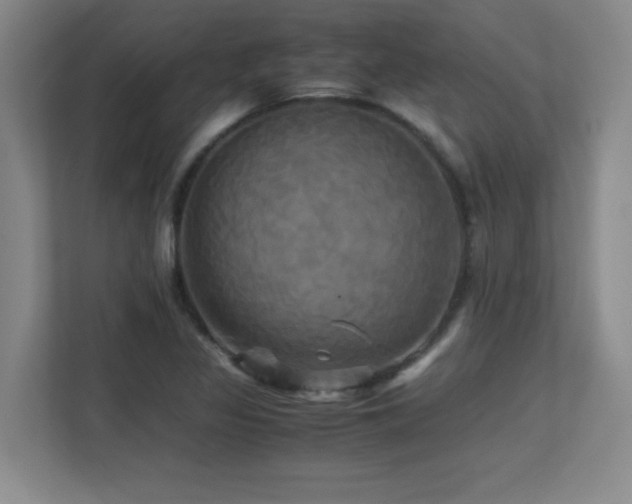 X0000113251317200909101420