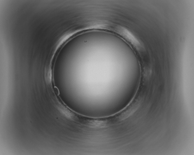 X0000113251324200909101420