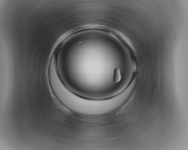 X0000113251330200909101420