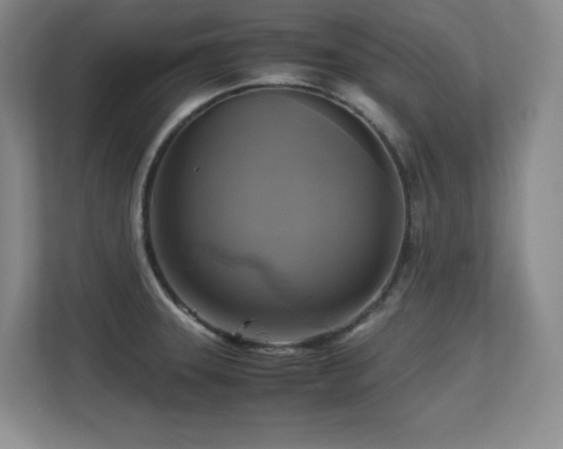 X0000113251331200909101420