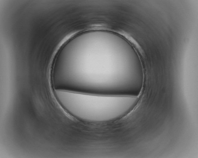 X0000113251333200909101420