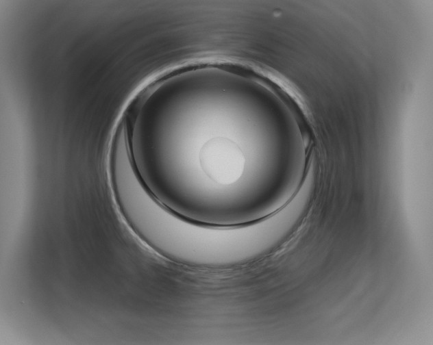 X0000113251334200909101420