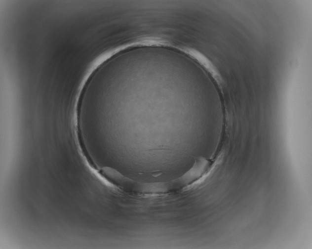 X0000113251335200909101420
