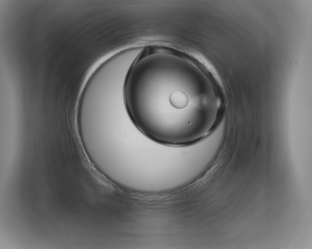 X0000113251336200909101420