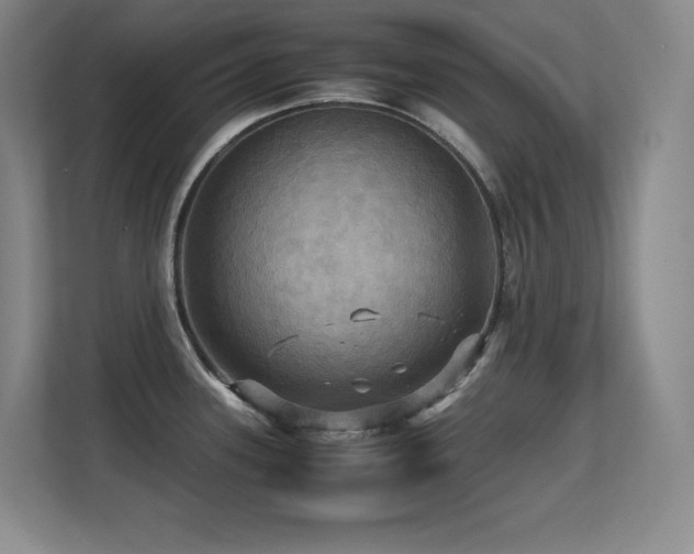 X0000113251339200909101421