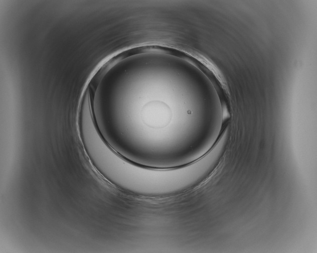 X0000113251340200909101421