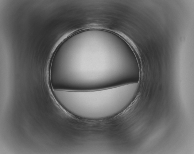 X0000113251341200909101421