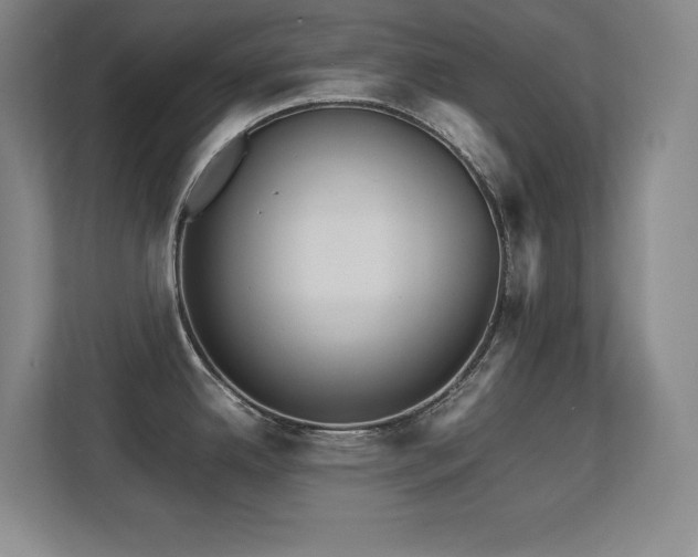X0000113251342200909101421