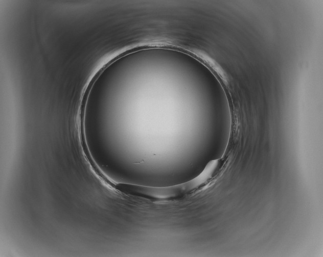 X0000113251343200909101421