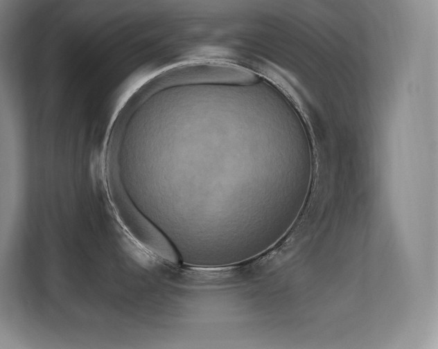 X0000113251344200909101421