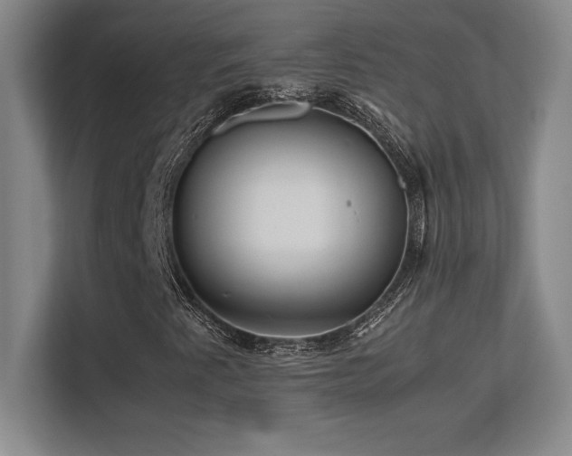 X0000113251345200909101420
