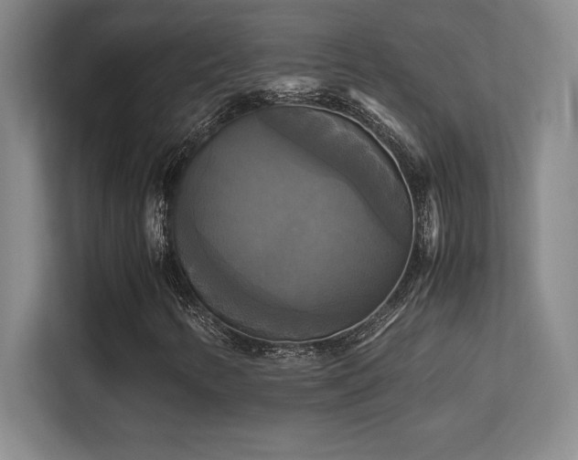 X0000113251346200909101420