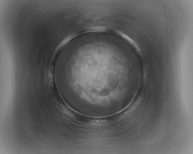 X0000113251354200909101420