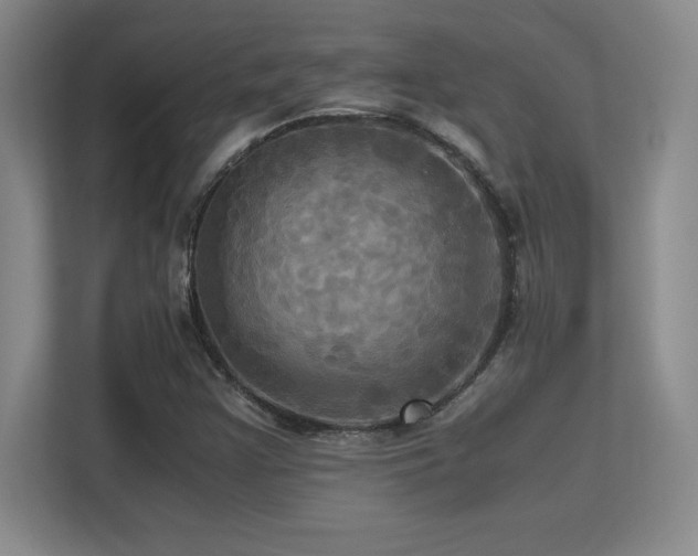 X0000113251355200909101420