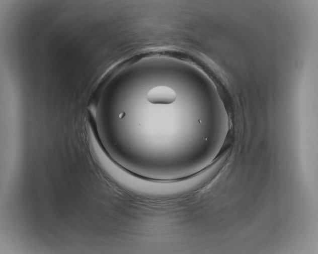 X0000113251361200909101420