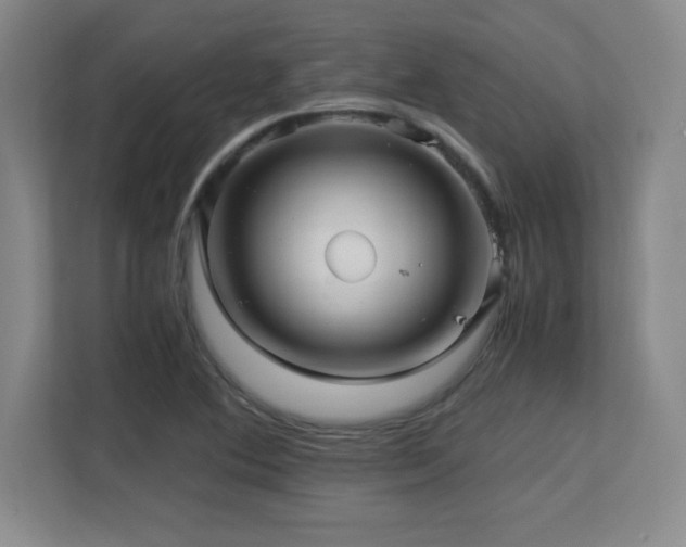 X0000113251364200909101420